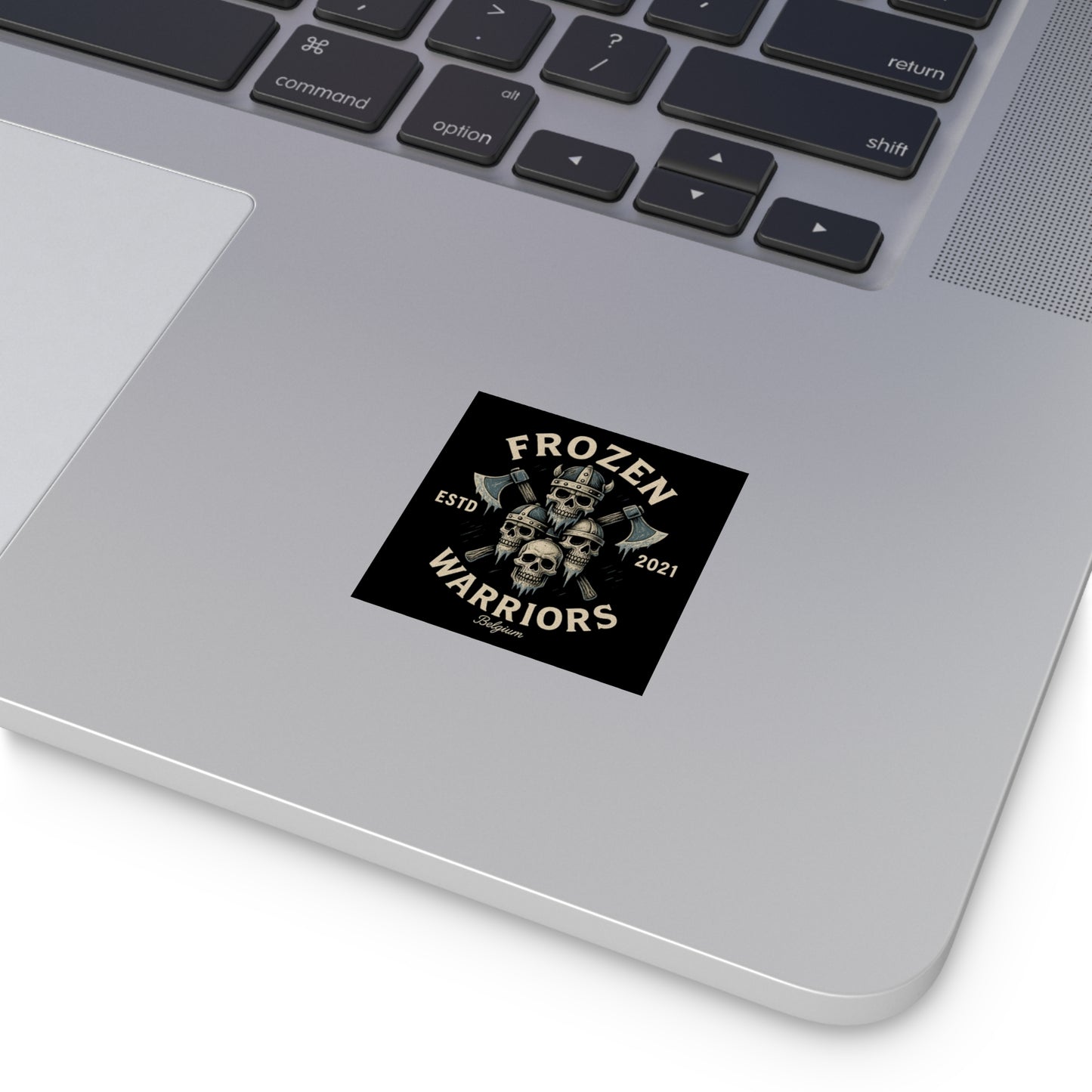 Viking Warrior Stickers | Edgy Decor, Laptop Accessories, Gift for Gamers, Halloween, Metalheads, Outdoor Enthusiasts